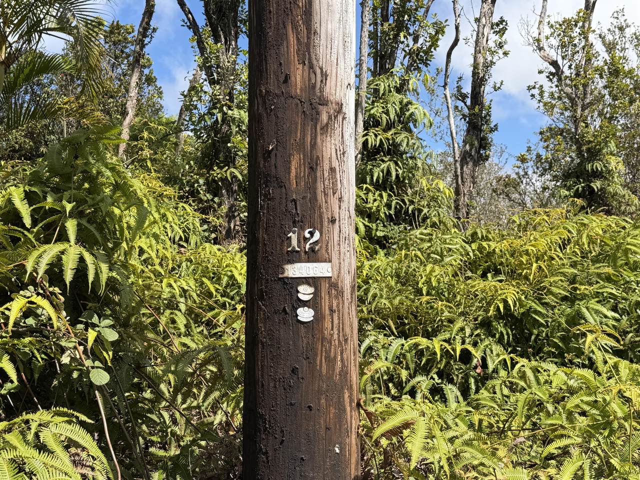 https://bt-photos.global.ssl.fastly.net/hawaii/1280_boomver_1_729385-1.jpg