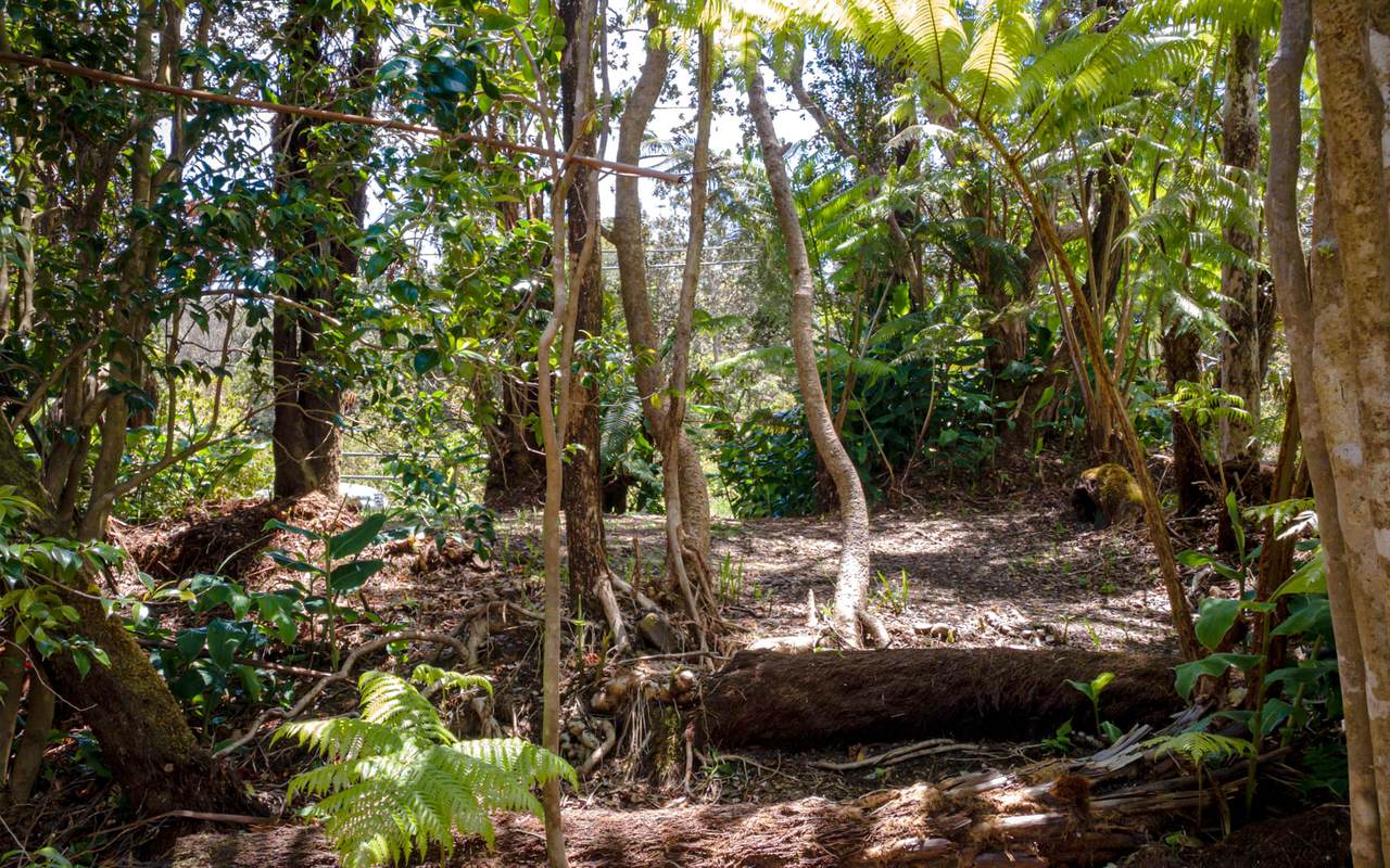 https://bt-photos.global.ssl.fastly.net/hawaii/1280_boomver_1_729523-3.jpg
