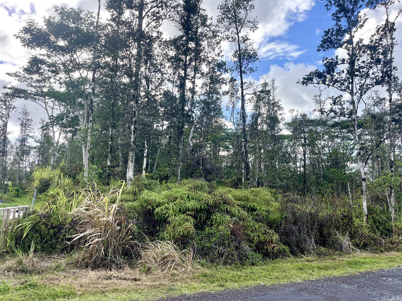 16-2106 Bamboo Dr - Photo 1