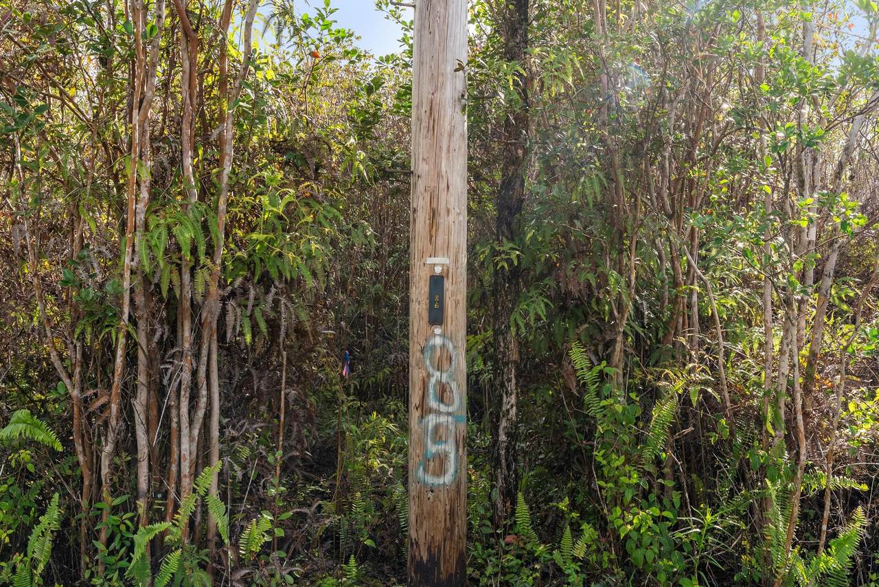 https://bt-photos.global.ssl.fastly.net/hawaii/1280_boomver_1_729546-1.jpg