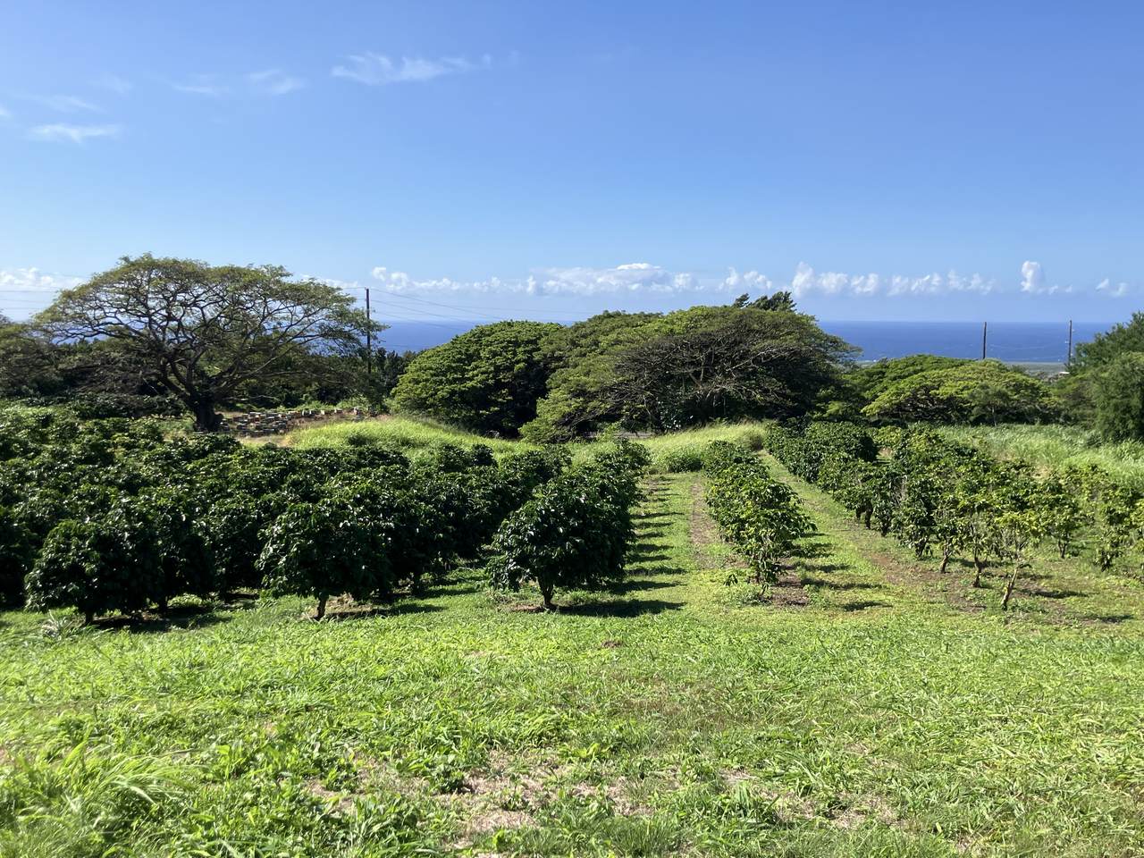 https://bt-photos.global.ssl.fastly.net/hawaii/orig_boomver_1_729566-1.jpg