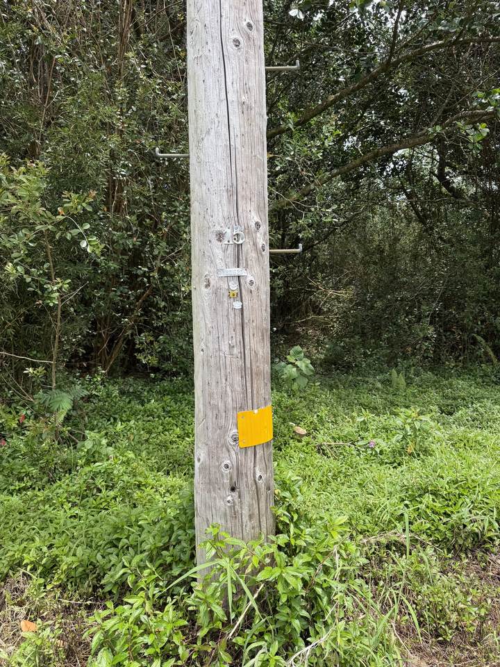 https://bt-photos.global.ssl.fastly.net/hawaii/1280_boomver_1_729607-1.jpg