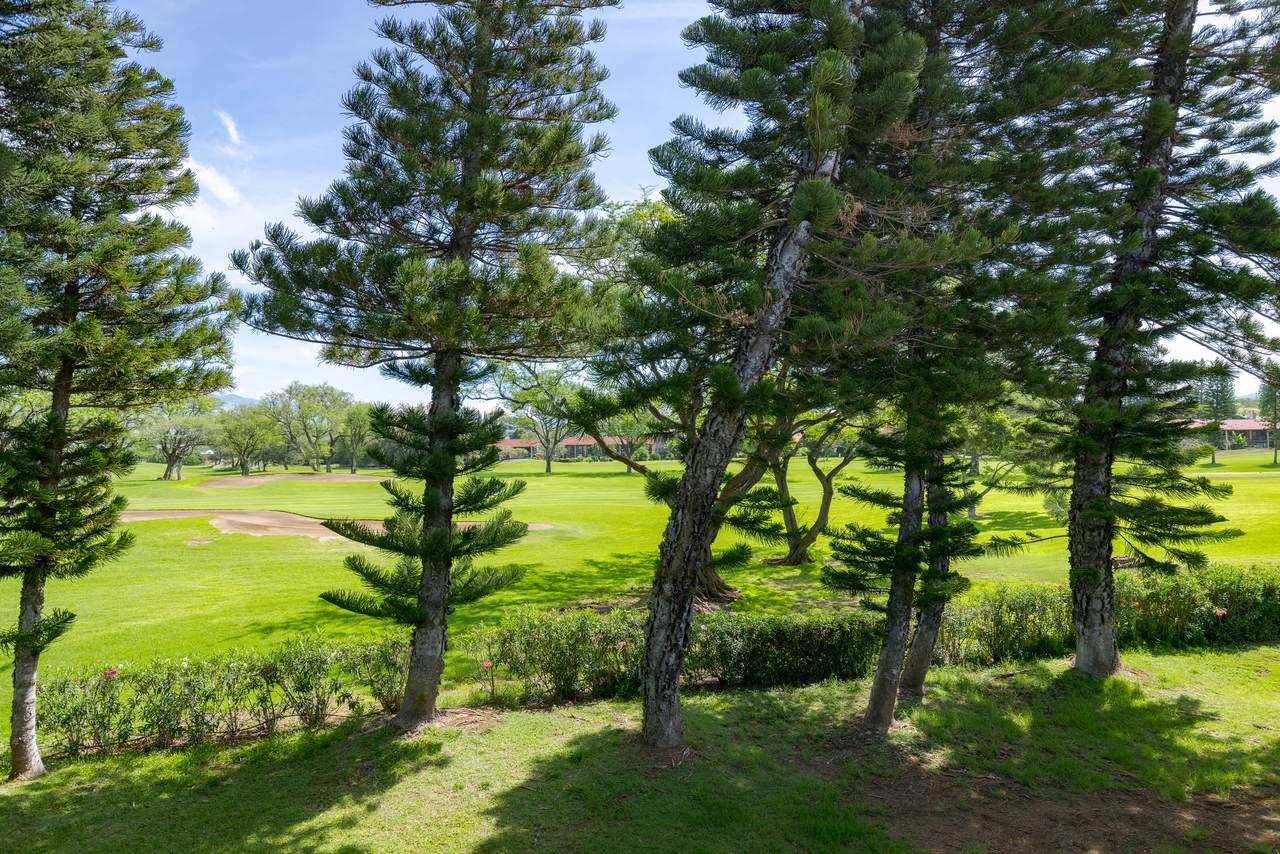 https://bt-photos.global.ssl.fastly.net/hawaii/1280_boomver_1_729821-1.jpg