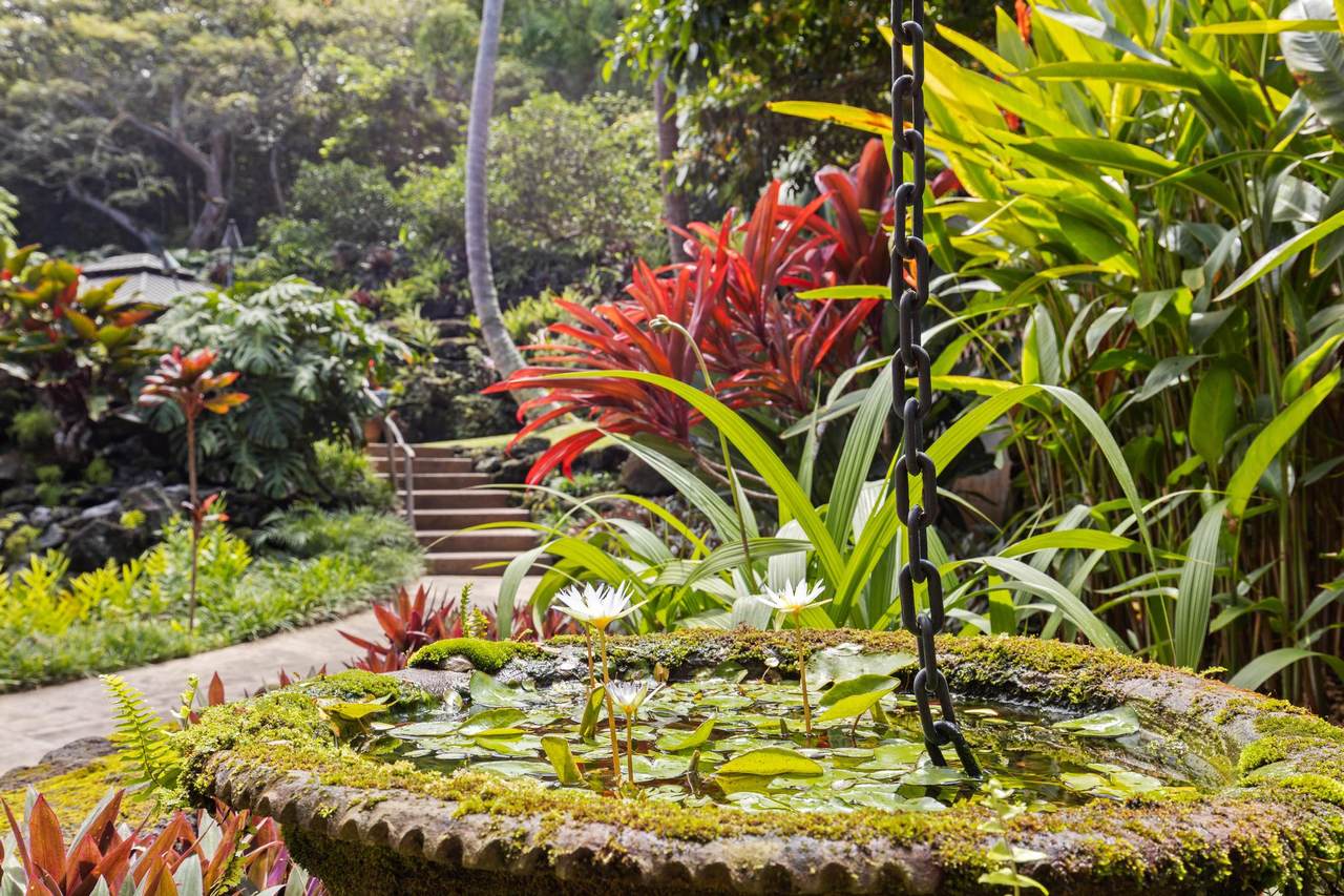 https://bt-photos.global.ssl.fastly.net/hawaii/1280_boomver_1_729823-1.jpg