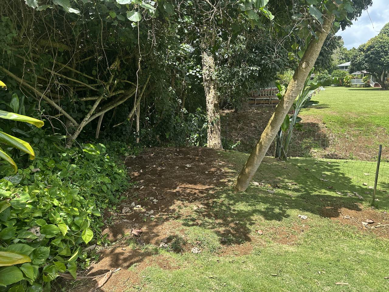 https://bt-photos.global.ssl.fastly.net/hawaii/1280_boomver_1_729848-17.jpg