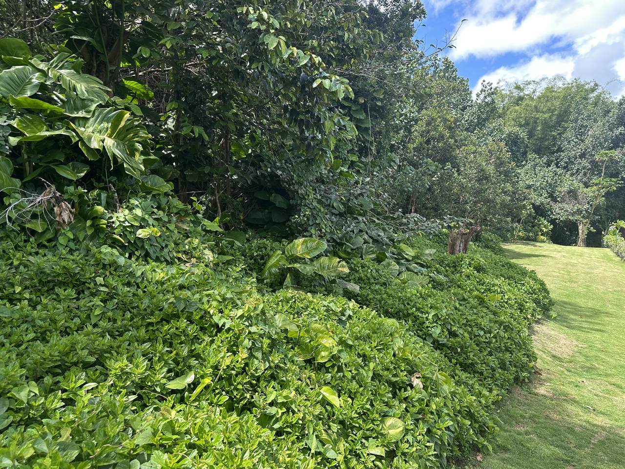 https://bt-photos.global.ssl.fastly.net/hawaii/1280_boomver_1_729848-17.jpg