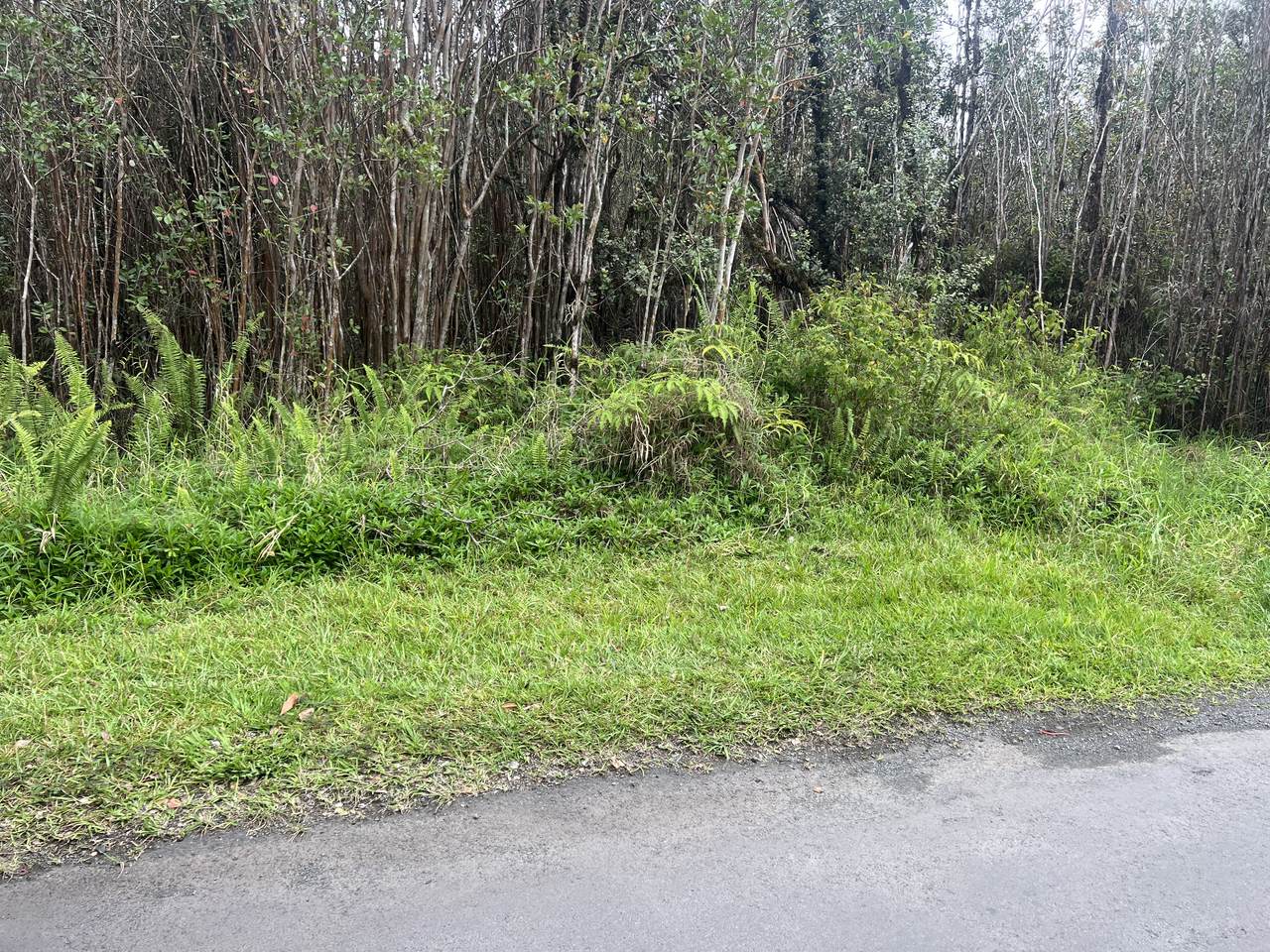 https://bt-photos.global.ssl.fastly.net/hawaii/1280_boomver_1_729899-1.jpg