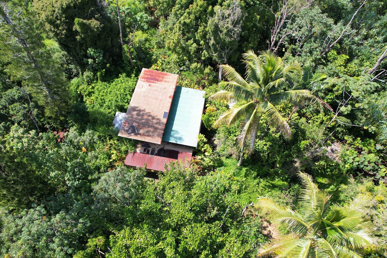 https://bt-photos.global.ssl.fastly.net/hawaii/1280_boomver_1_729916-2.jpg