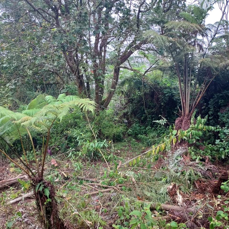 https://bt-photos.global.ssl.fastly.net/hawaii/1280_boomver_2_729926-16.jpg
