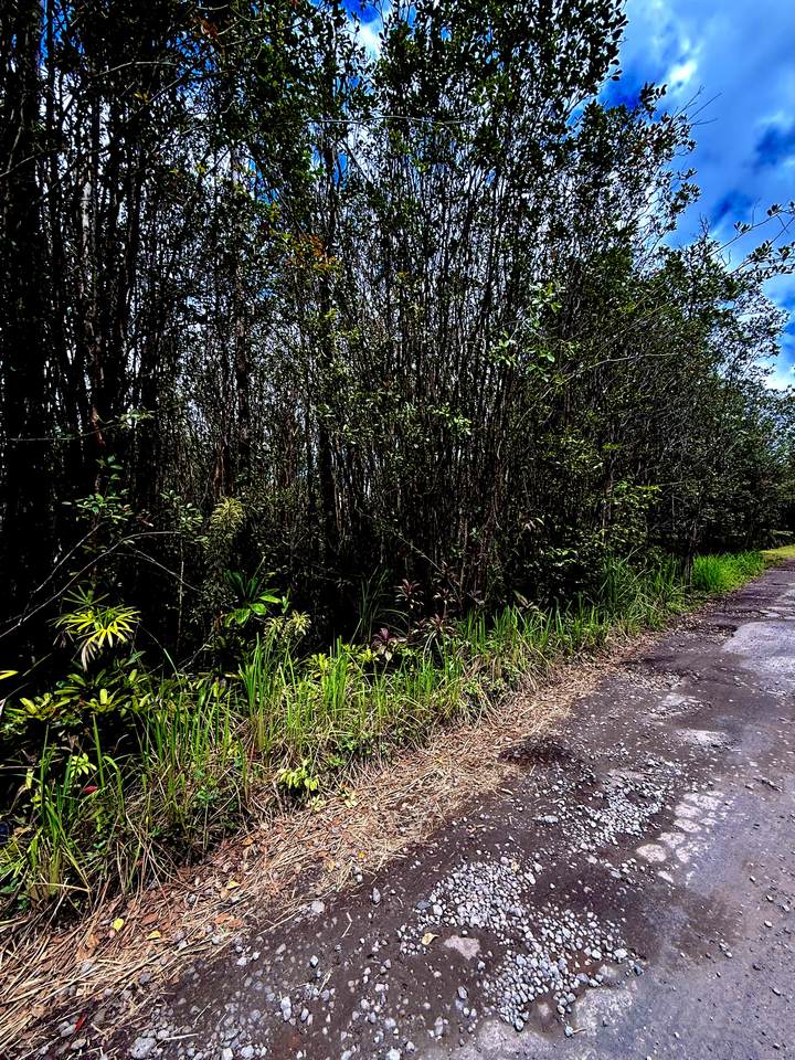 https://bt-photos.global.ssl.fastly.net/hawaii/1280_boomver_1_729947-1.jpg