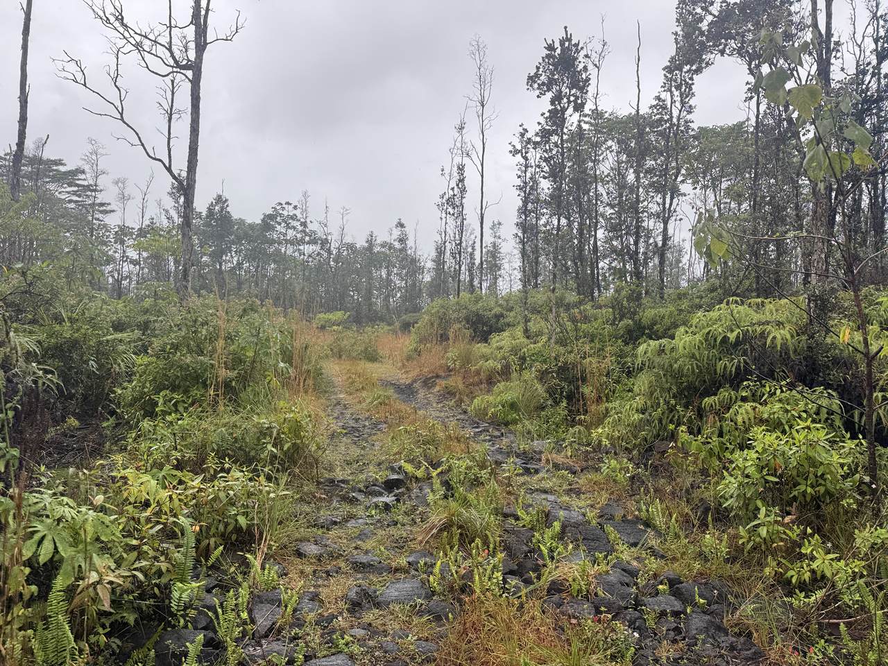 https://bt-photos.global.ssl.fastly.net/hawaii/1280_boomver_1_729967-1.jpg