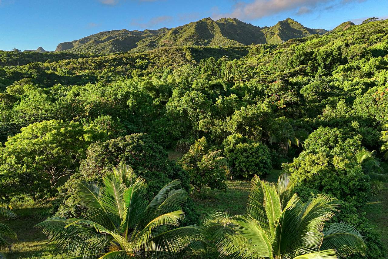 https://bt-photos.global.ssl.fastly.net/hawaii/1280_boomver_1_729977-1.jpg
