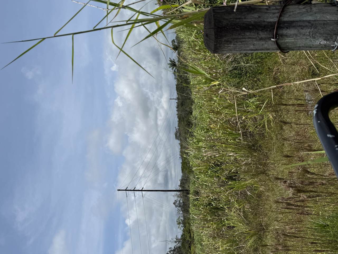 https://bt-photos.global.ssl.fastly.net/hawaii/1280_boomver_1_730040-1.jpg