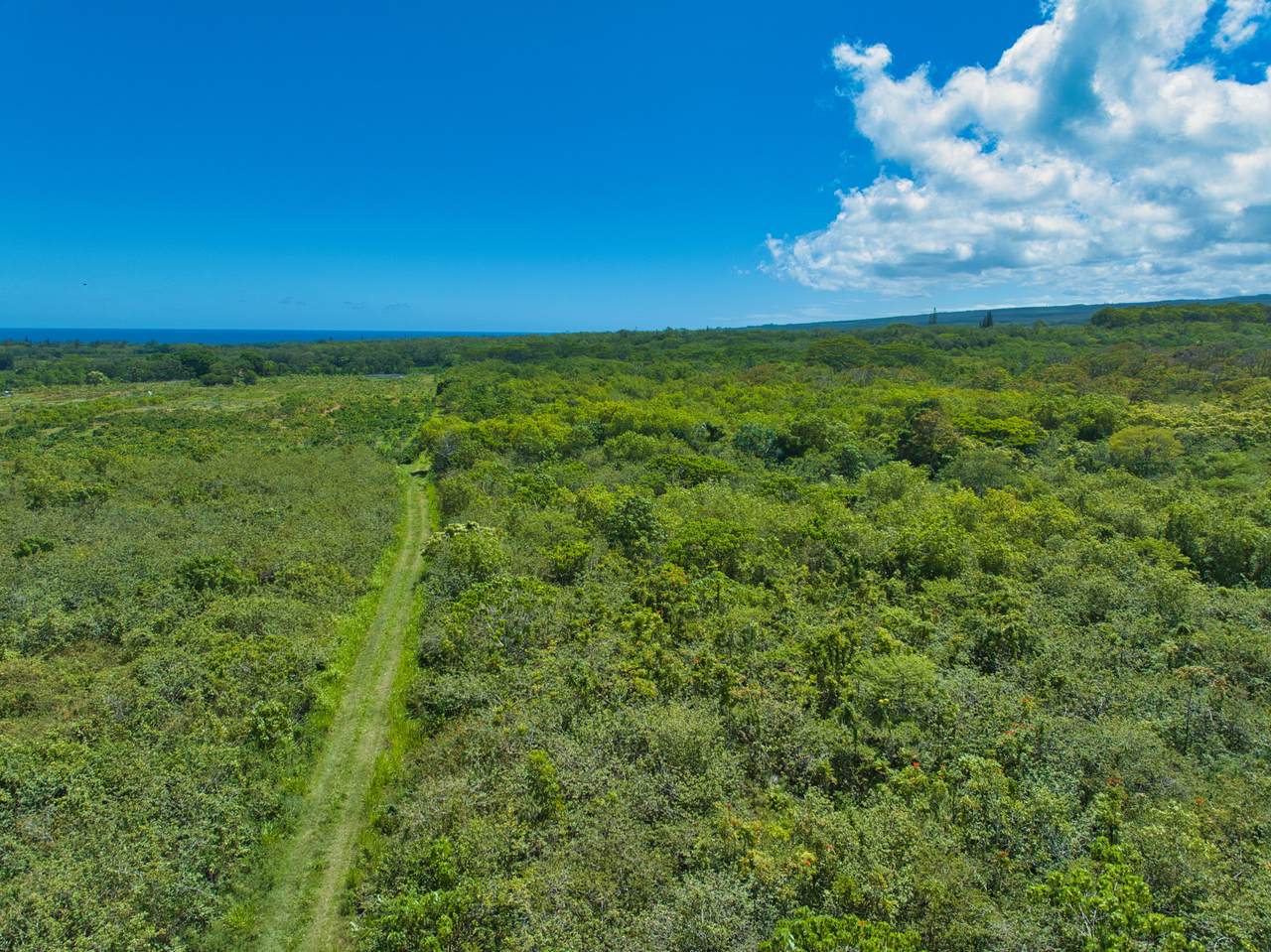 https://bt-photos.global.ssl.fastly.net/hawaii/1280_boomver_1_730072-1.jpg