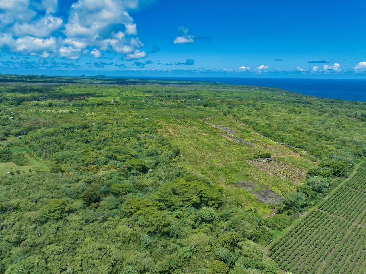 https://bt-photos.global.ssl.fastly.net/hawaii/1280_boomver_1_730072-1.jpg