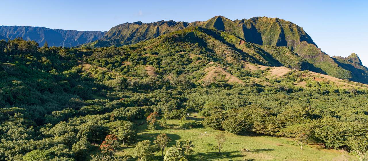 https://bt-photos.global.ssl.fastly.net/hawaii/1280_boomver_1_730086-1.jpg