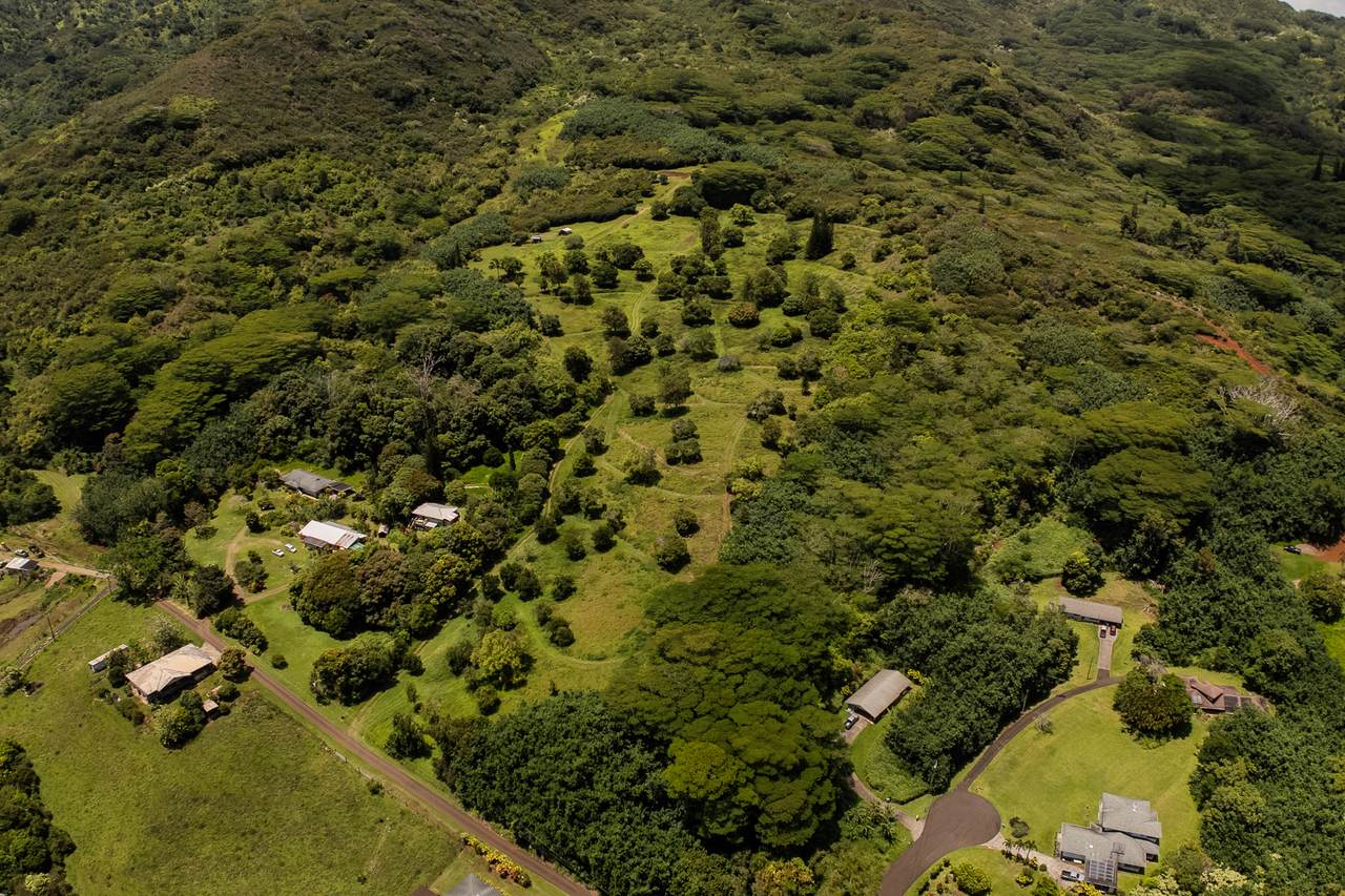 https://bt-photos.global.ssl.fastly.net/hawaii/1280_boomver_1_730141-1.jpg