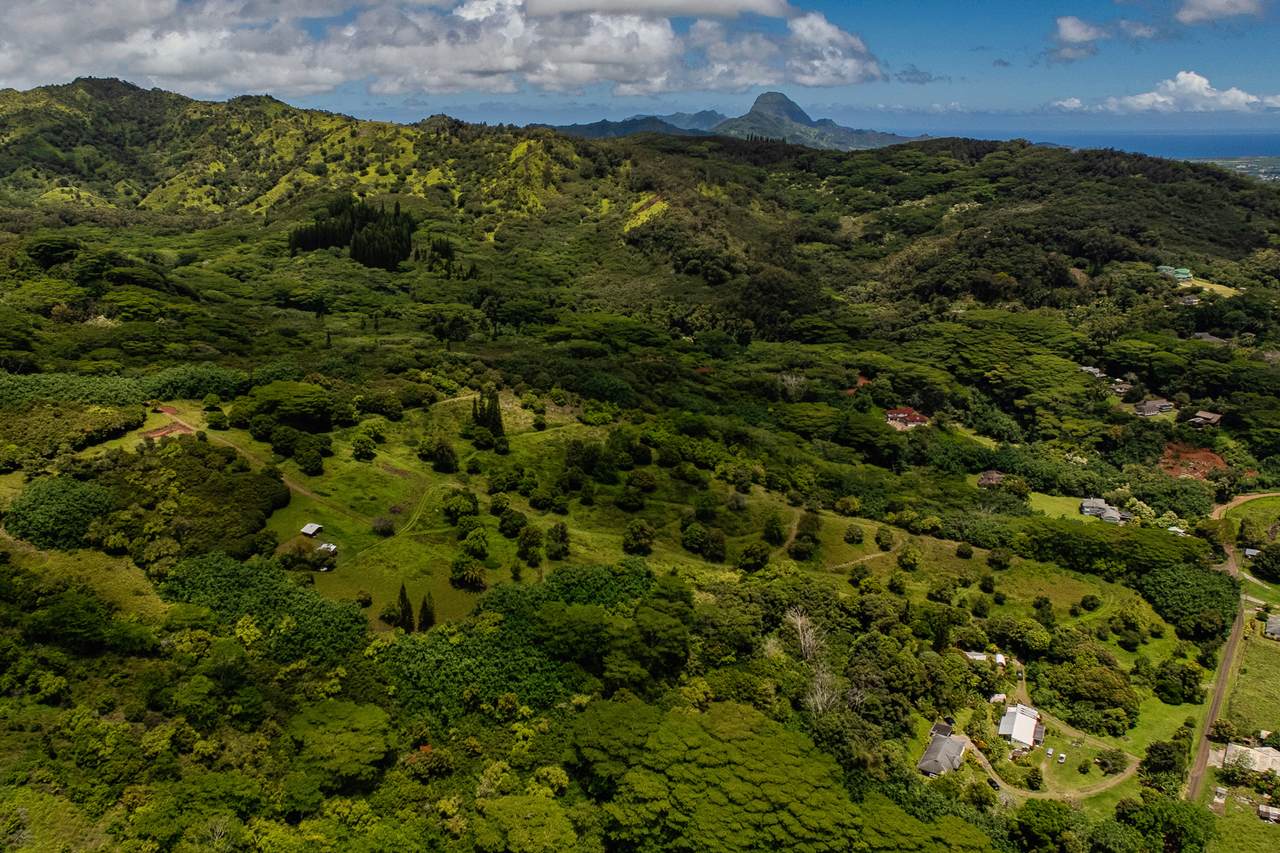 https://bt-photos.global.ssl.fastly.net/hawaii/1280_boomver_1_730141-1.jpg