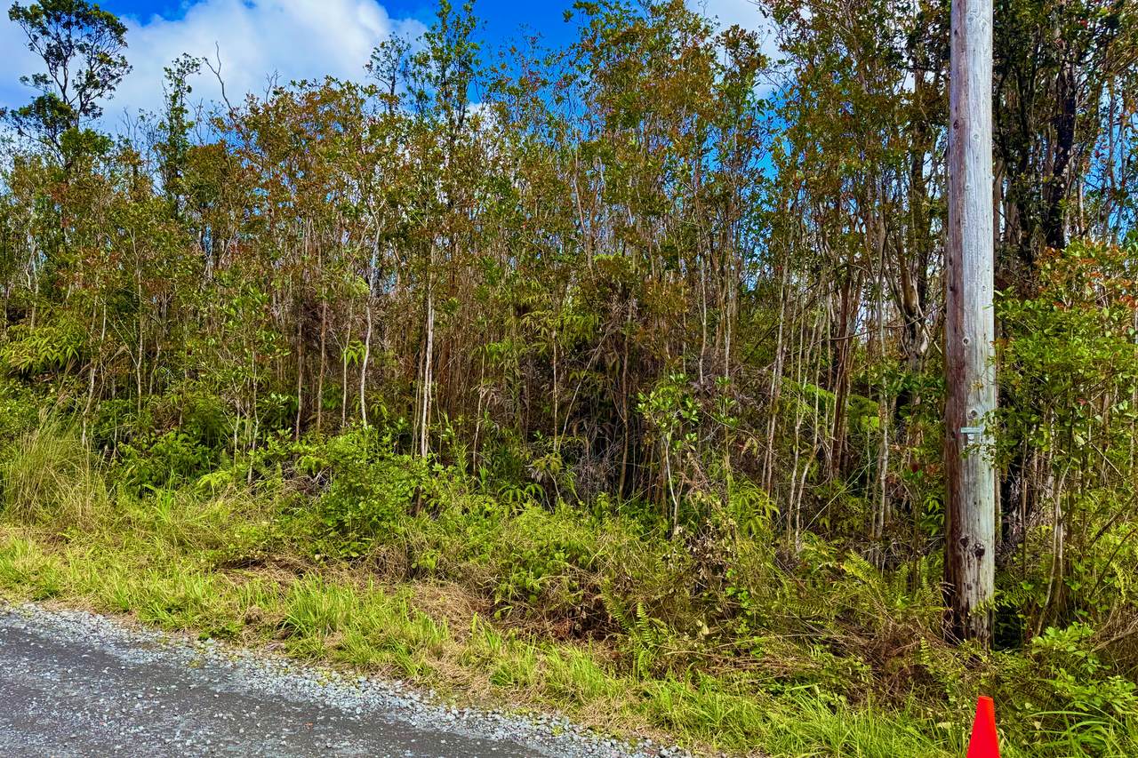 https://bt-photos.global.ssl.fastly.net/hawaii/1280_boomver_1_730180-1.jpg