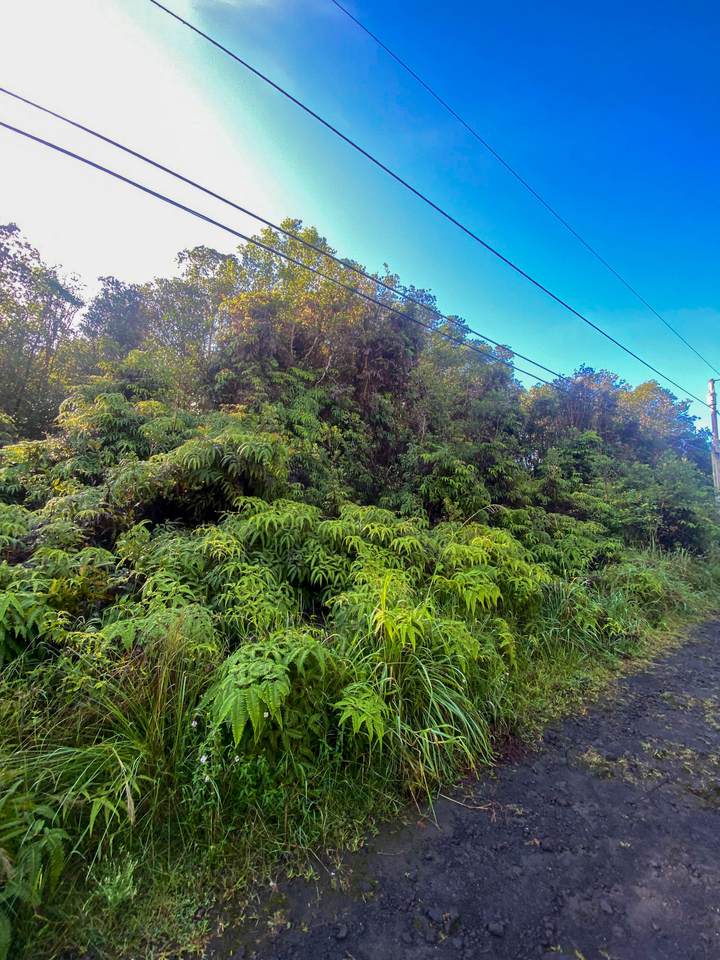18-1259 Kauai St - Photo 1