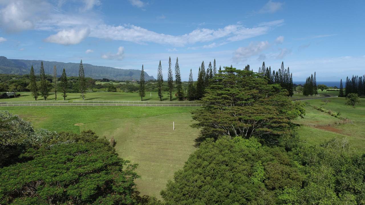 https://bt-photos.global.ssl.fastly.net/hawaii/1280_boomver_1_730220-2.jpg