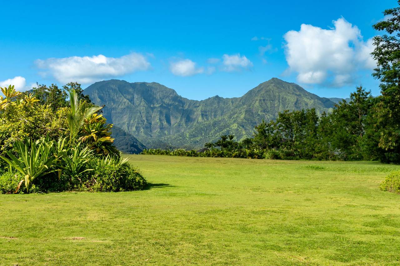  Hanalei Plantation Rd - Photo 1