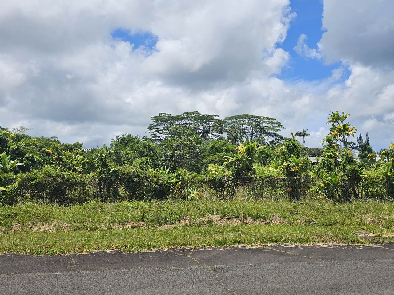  Meaulu St - Photo 1