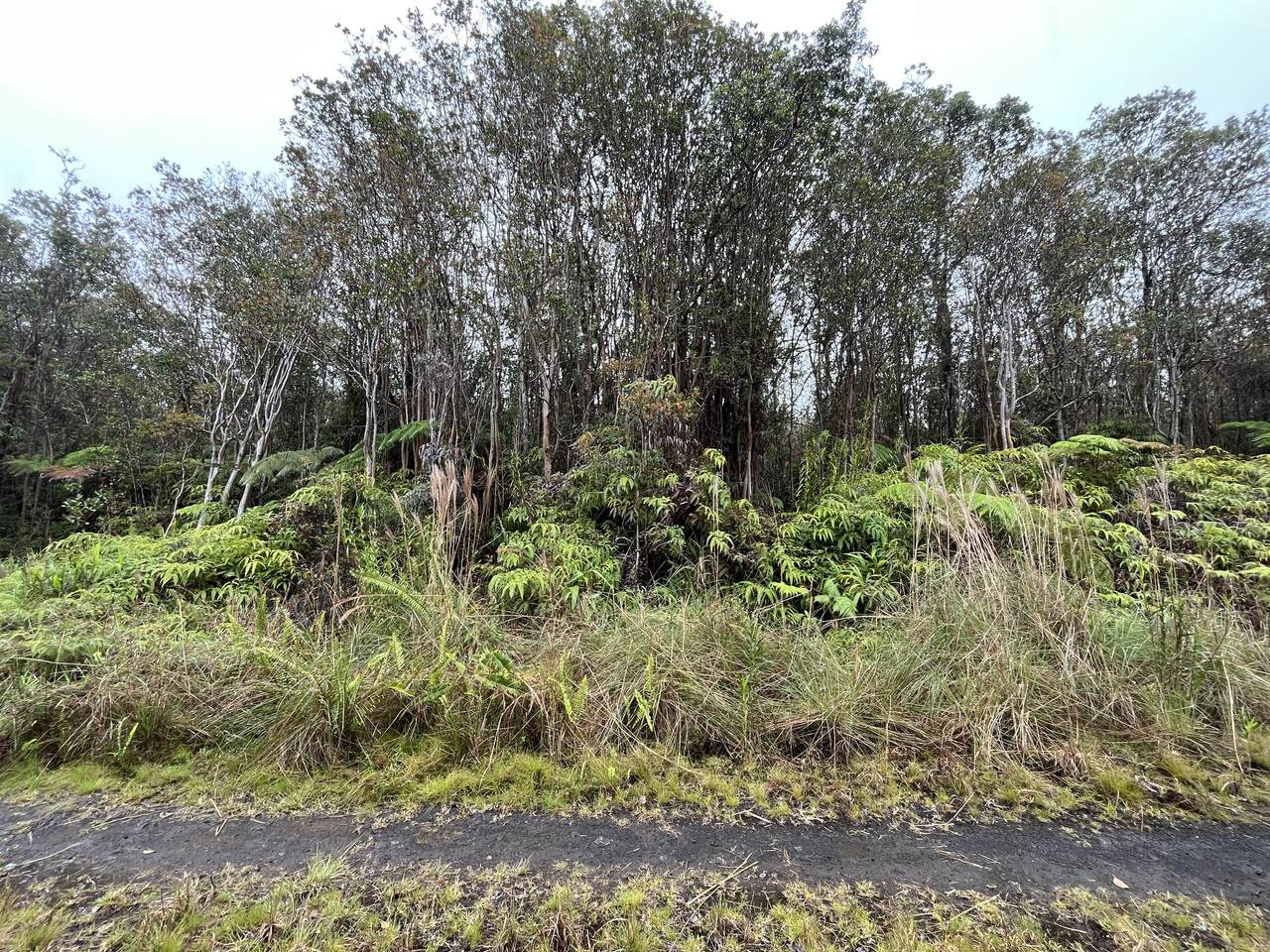 https://bt-photos.global.ssl.fastly.net/hawaii/1280_boomver_1_730425-1.jpg