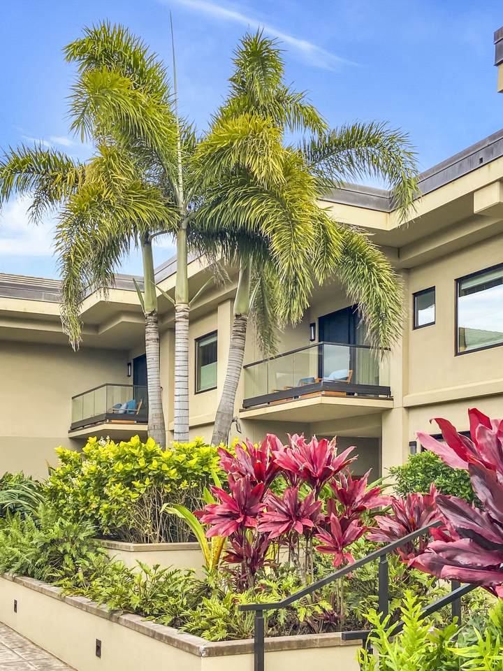 3770 Alaoli Way - Photo 1