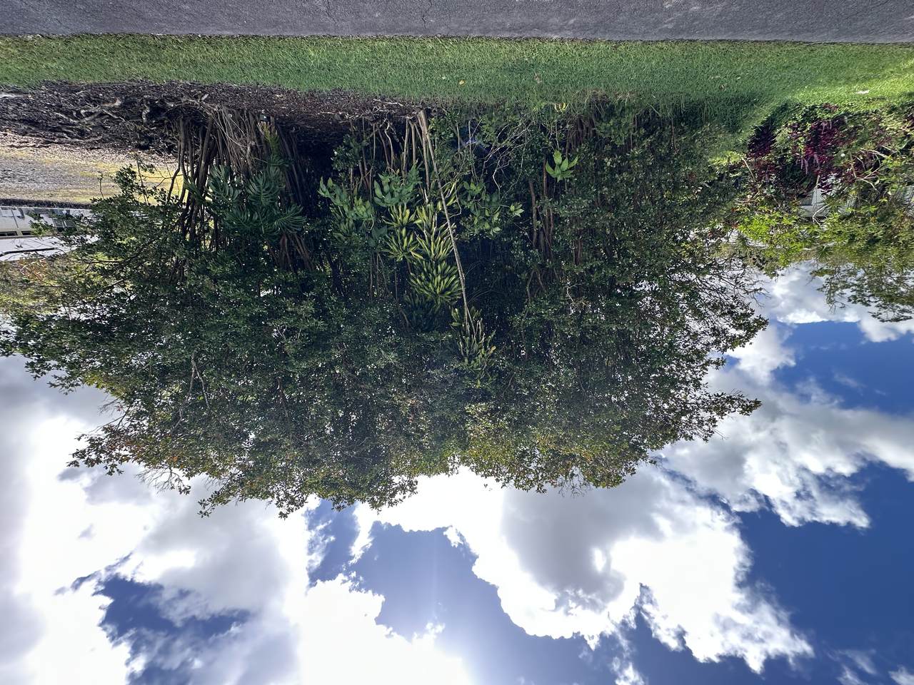  Ua Nahele St - Photo 1