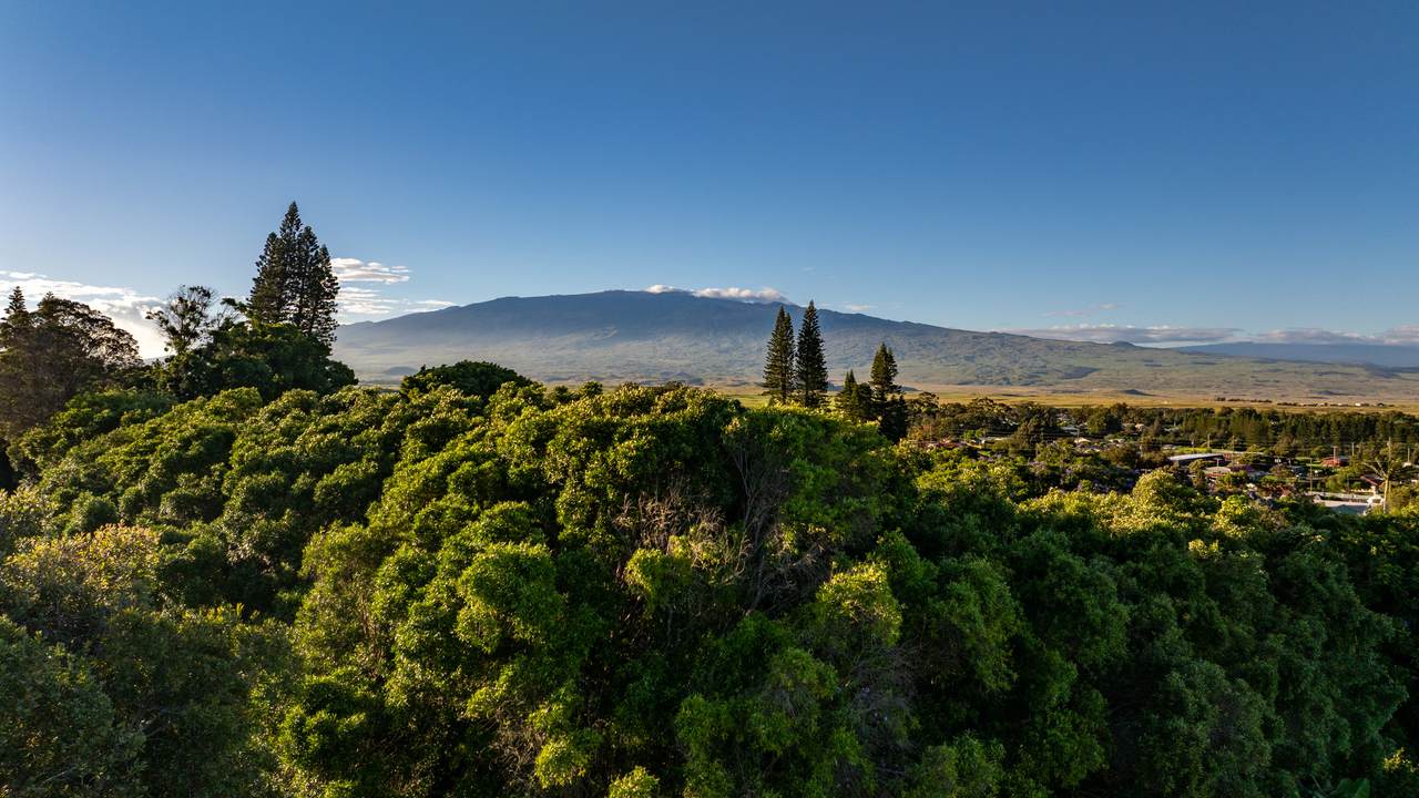 65-1307 Hokulani Pl - Photo 1