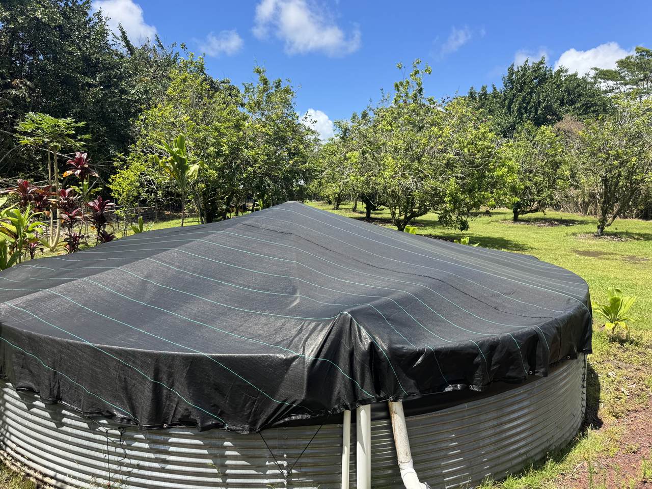 https://bt-photos.global.ssl.fastly.net/hawaii/orig_boomver_1_730646-1.jpg
