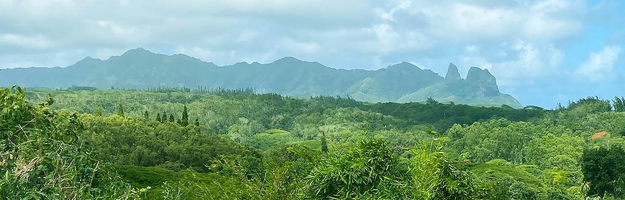 https://bt-photos.global.ssl.fastly.net/hawaii/1280_boomver_1_730757-1.jpg