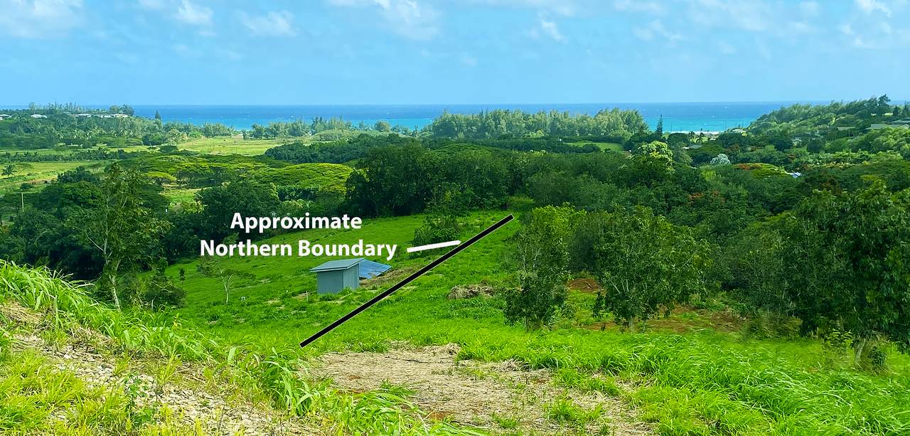 https://bt-photos.global.ssl.fastly.net/hawaii/1280_boomver_1_730757-1.jpg