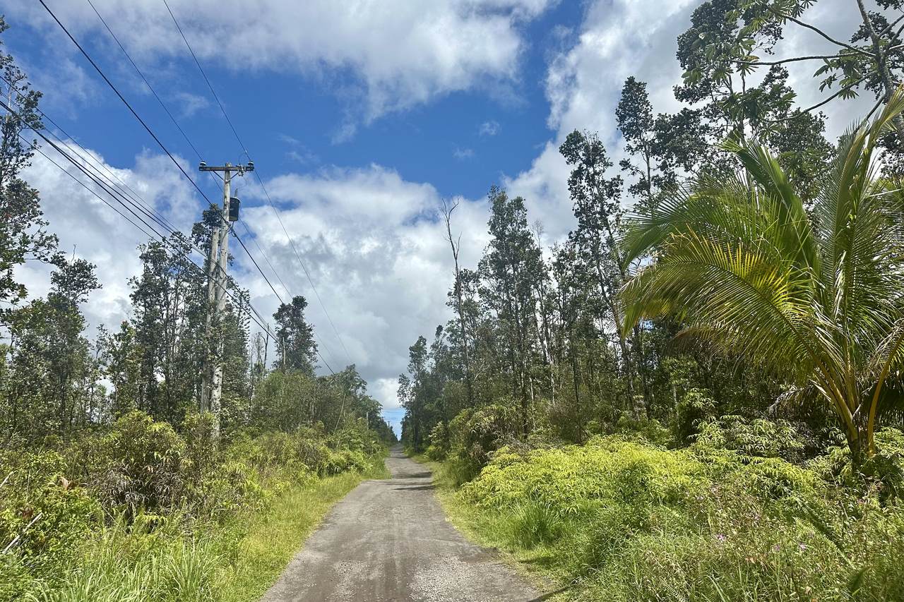  Road 9 (Koloa Maoli) - Photo 1