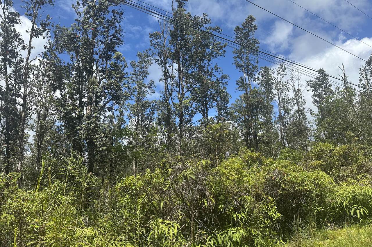 https://bt-photos.global.ssl.fastly.net/hawaii/1280_boomver_1_730767-1.jpg