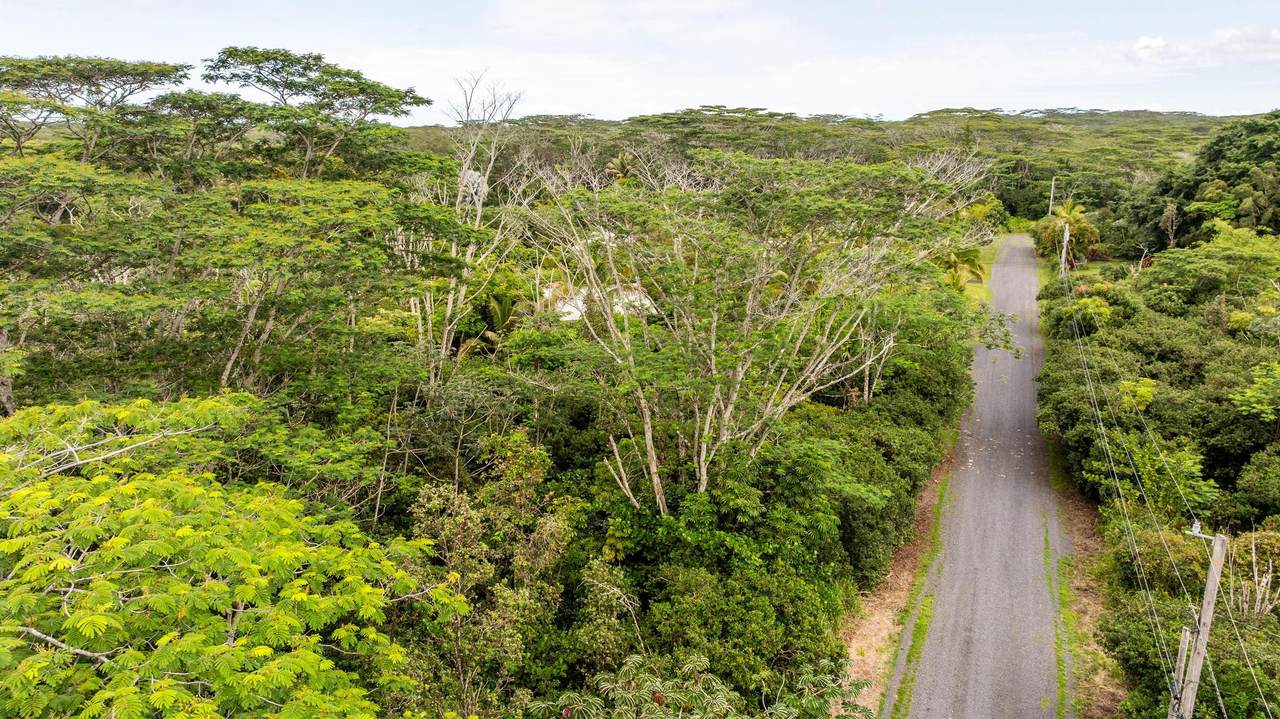 https://bt-photos.global.ssl.fastly.net/hawaii/1280_boomver_1_730857-1.jpg