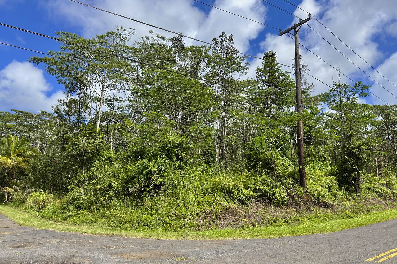  Hilo Rd - Photo 1