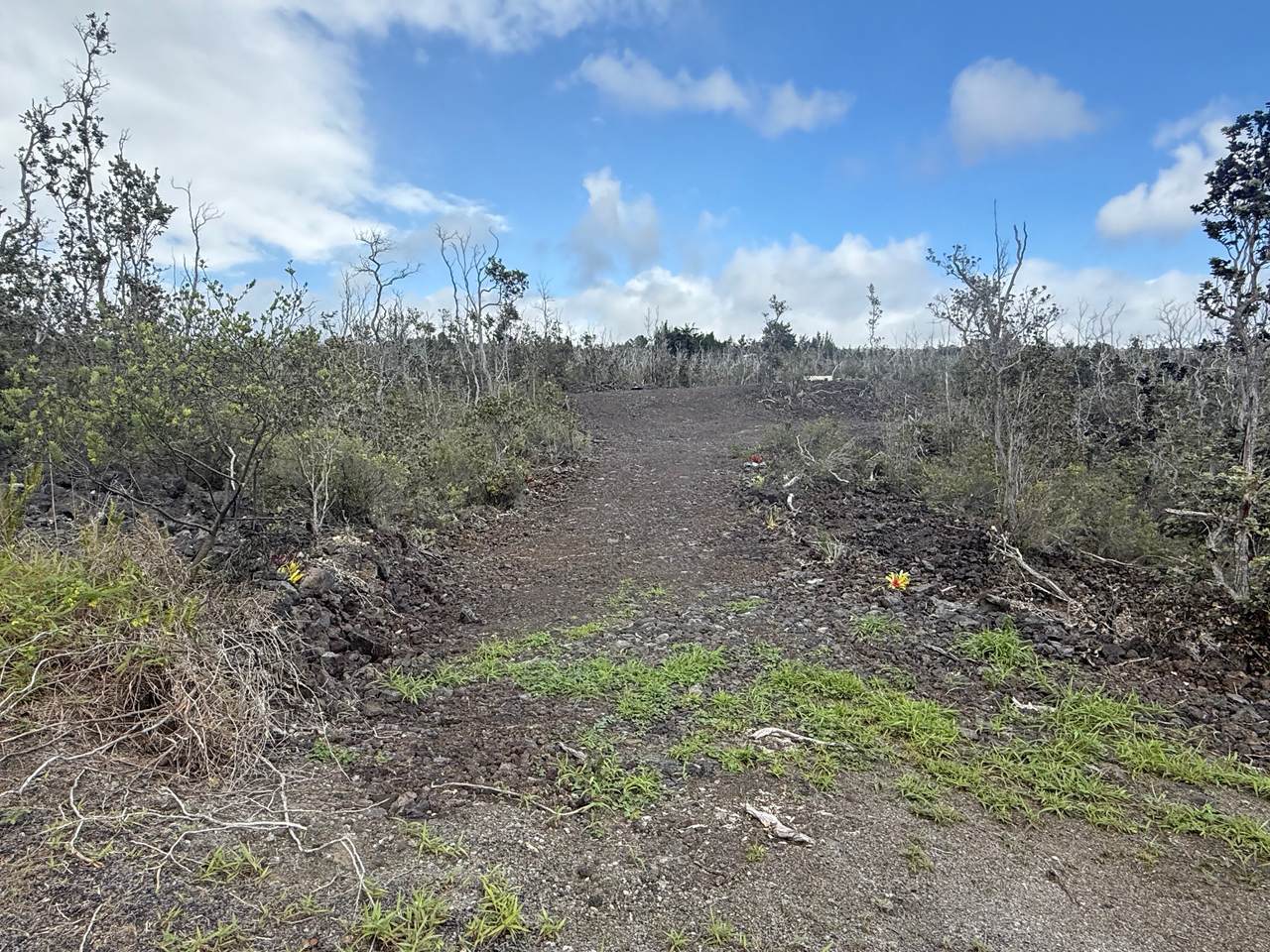 https://bt-photos.global.ssl.fastly.net/hawaii/1280_boomver_1_730908-1.jpg
