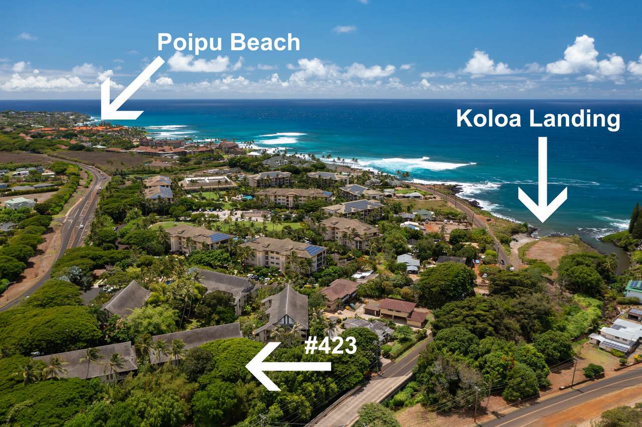 https://bt-photos.global.ssl.fastly.net/hawaii/1280_boomver_1_730959-1.jpg