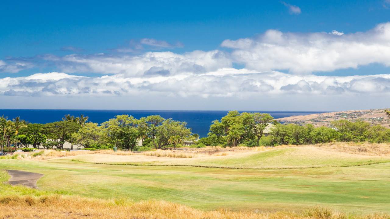 https://bt-photos.global.ssl.fastly.net/hawaii/1280_boomver_1_730975-1.jpg