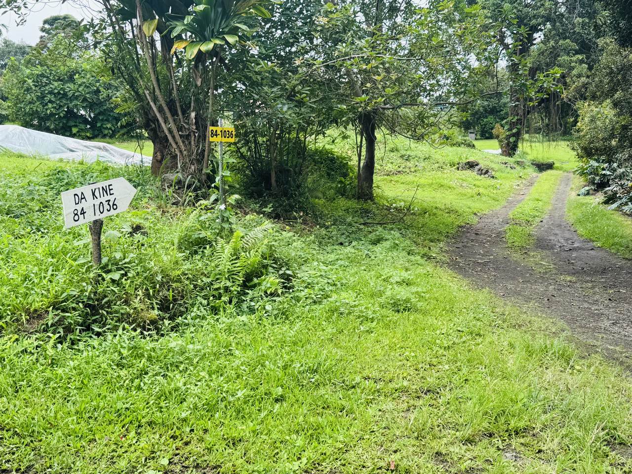 https://bt-photos.global.ssl.fastly.net/hawaii/1280_boomver_1_730984-1.jpg