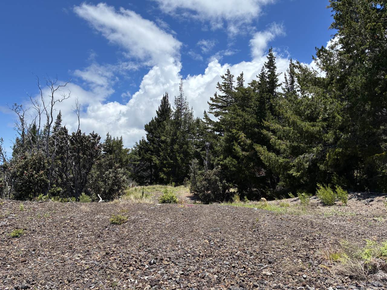 https://bt-photos.global.ssl.fastly.net/hawaii/1280_boomver_1_730988-1.jpg