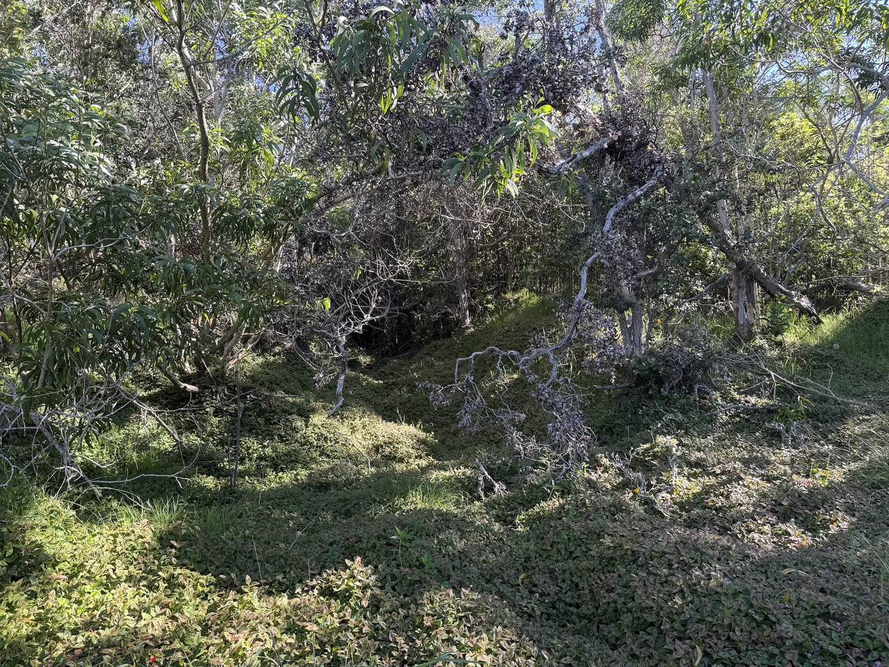 https://bt-photos.global.ssl.fastly.net/hawaii/1280_boomver_1_730998-1.jpg