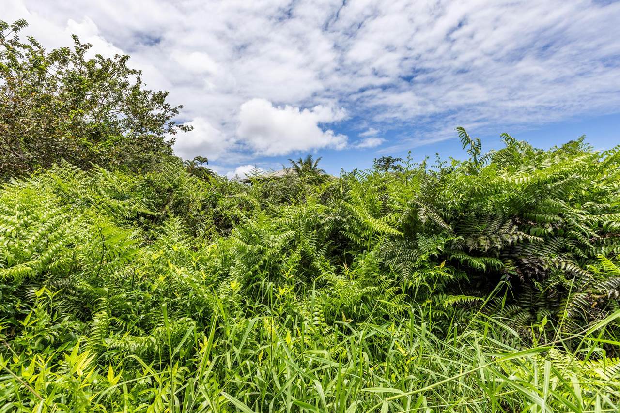 https://bt-photos.global.ssl.fastly.net/hawaii/1280_boomver_1_731026-4.jpg