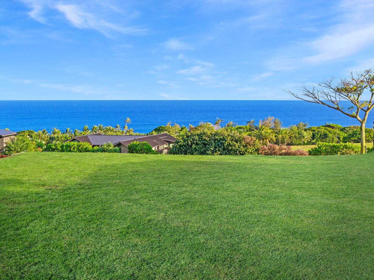 https://bt-photos.global.ssl.fastly.net/hawaii/1280_boomver_1_731084-1.jpg