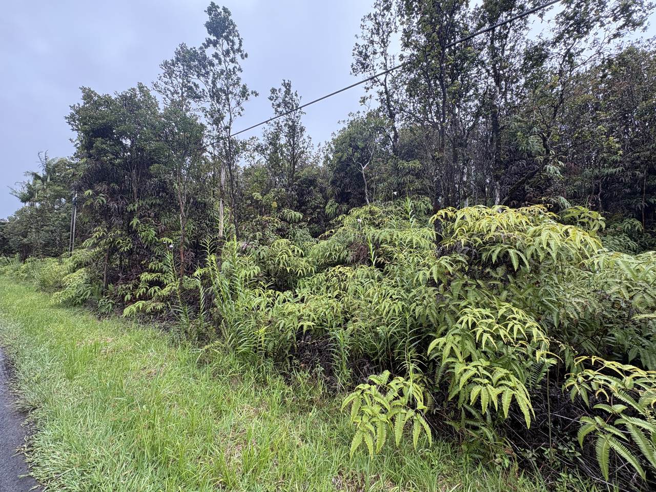 https://bt-photos.global.ssl.fastly.net/hawaii/1280_boomver_1_731138-1.jpg