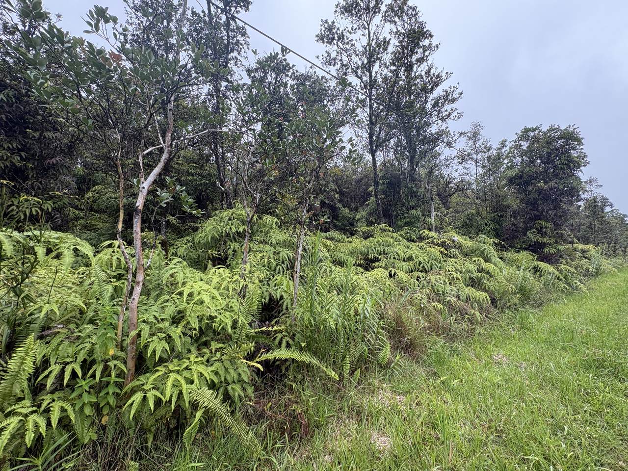 https://bt-photos.global.ssl.fastly.net/hawaii/1280_boomver_1_731138-1.jpg