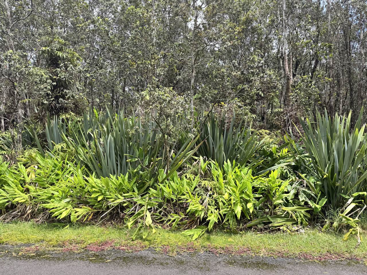 https://bt-photos.global.ssl.fastly.net/hawaii/1280_boomver_1_731148-1.jpg