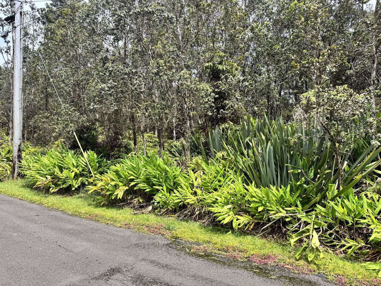https://bt-photos.global.ssl.fastly.net/hawaii/1280_boomver_1_731148-1.jpg